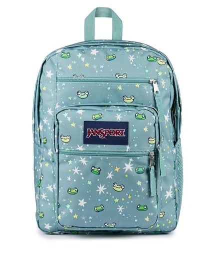 Big Student Backpack - Leapin' Lillies