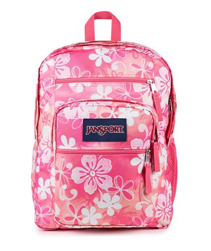 Big Student Backpack - Hiblisscus